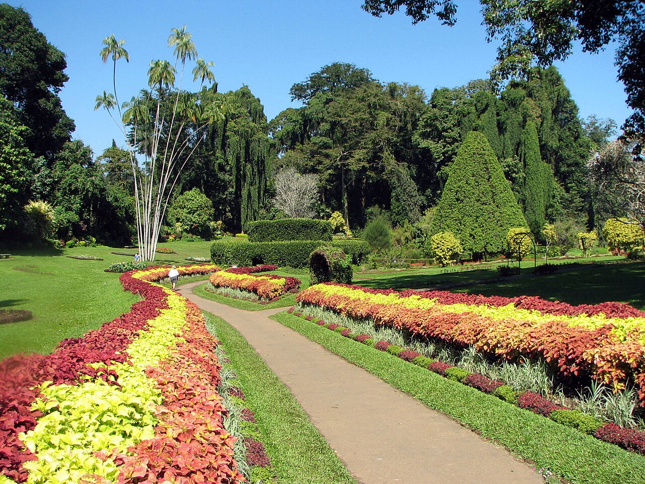 Flower beds at Peradeniya Botanical Gardens