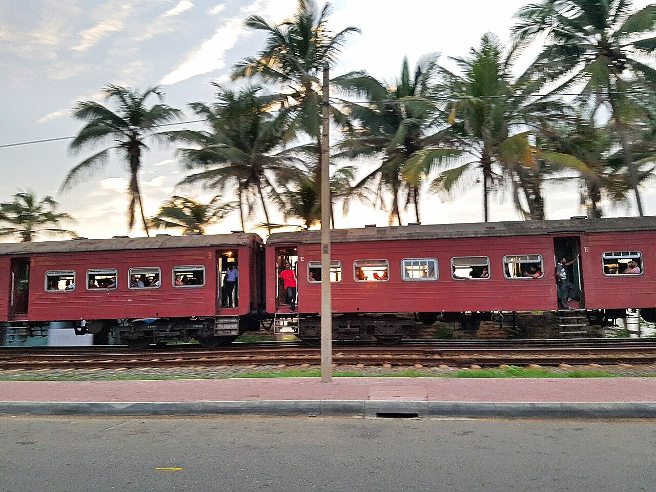 Train passing palm trees in Colombo